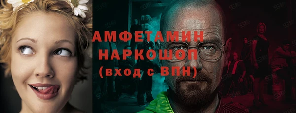 хмурый Абаза